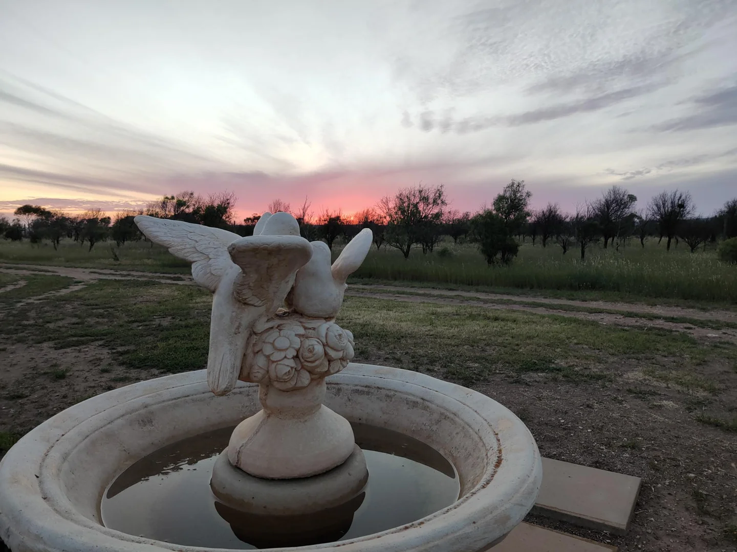 Image 13