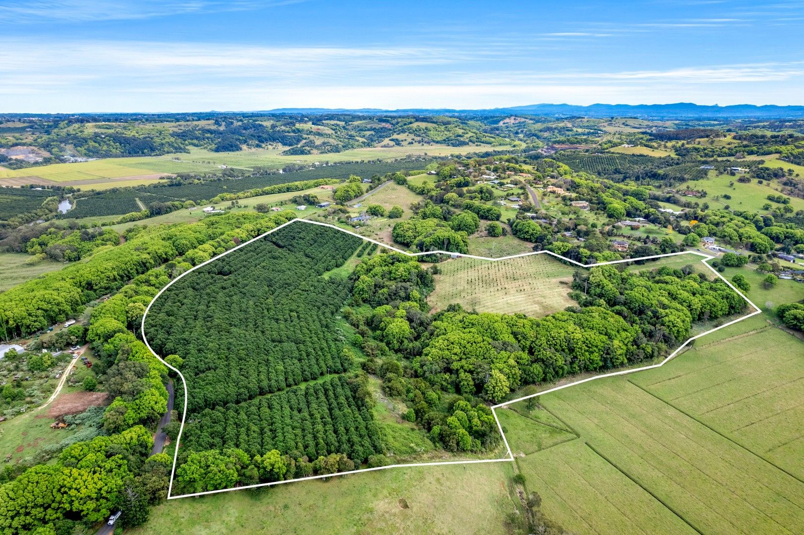 75 North Teven Road, Teven NSW 2478 Specialist Farm for Sale 2,600,000