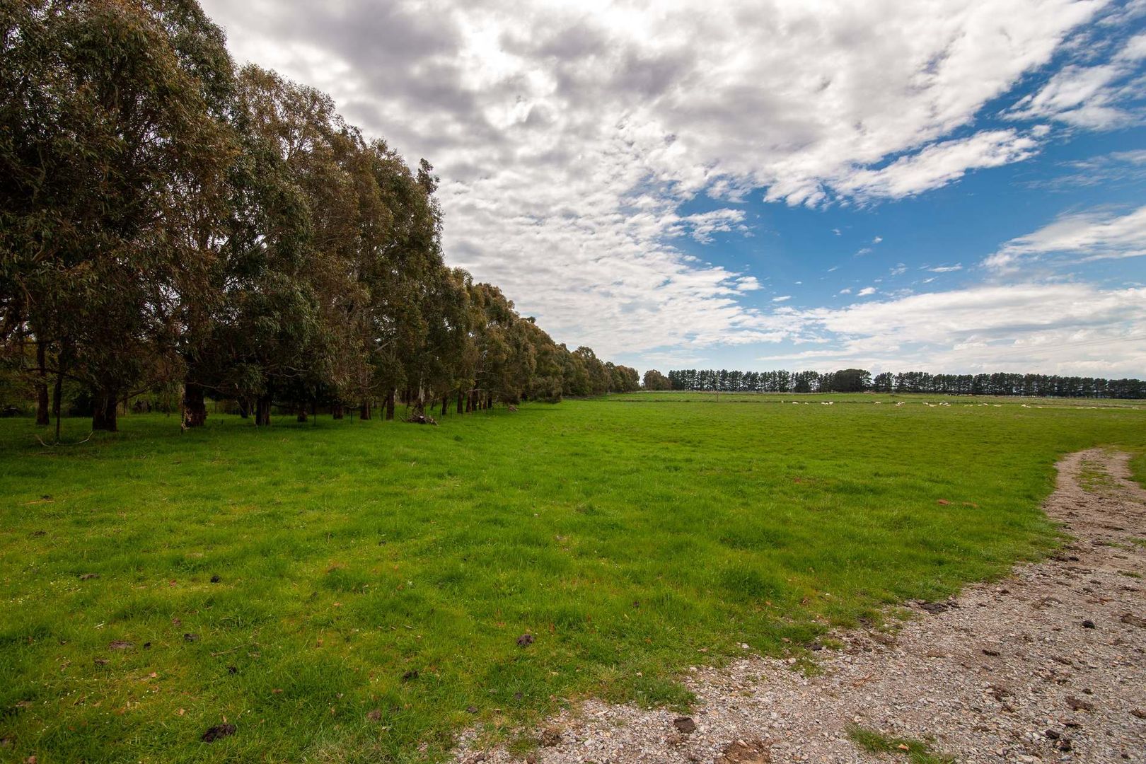 171 Third Creek, Crookwell NSW 2583, Image 2