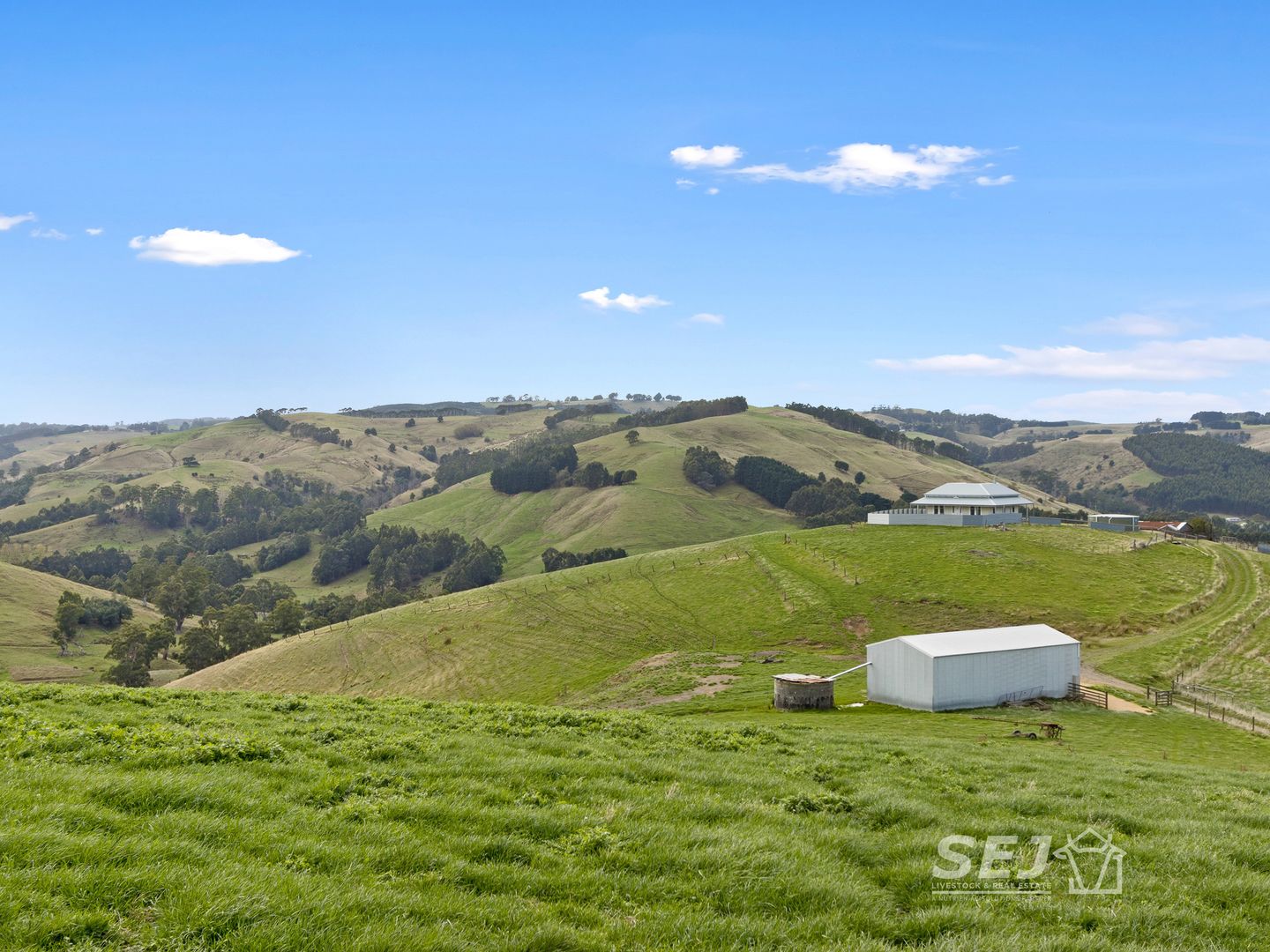 405 Ross and Witherdens Road, Strzelecki VIC 3950, Image 2