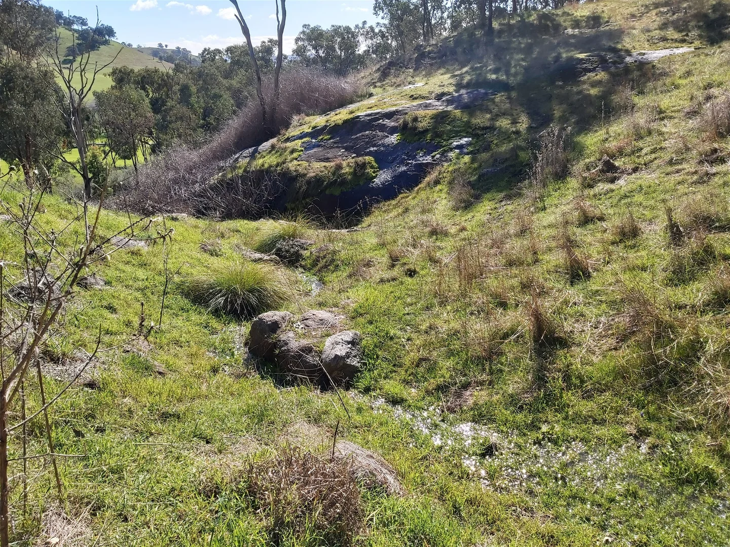 Image 18