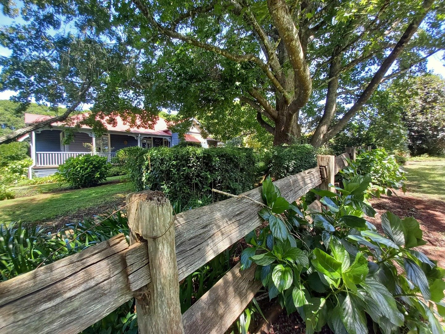 289 Tyringham Road, Dorrigo NSW 2453, Image 0