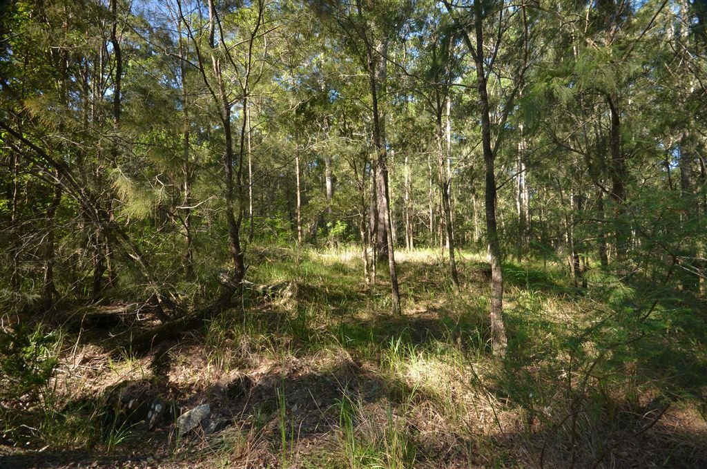 Lot 18 Le Clos Sancrox DP 776681, Sancrox NSW 2446, Image 2