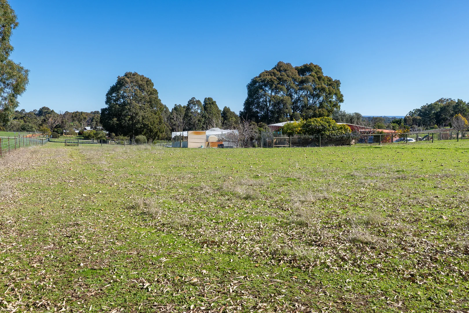 Image 23