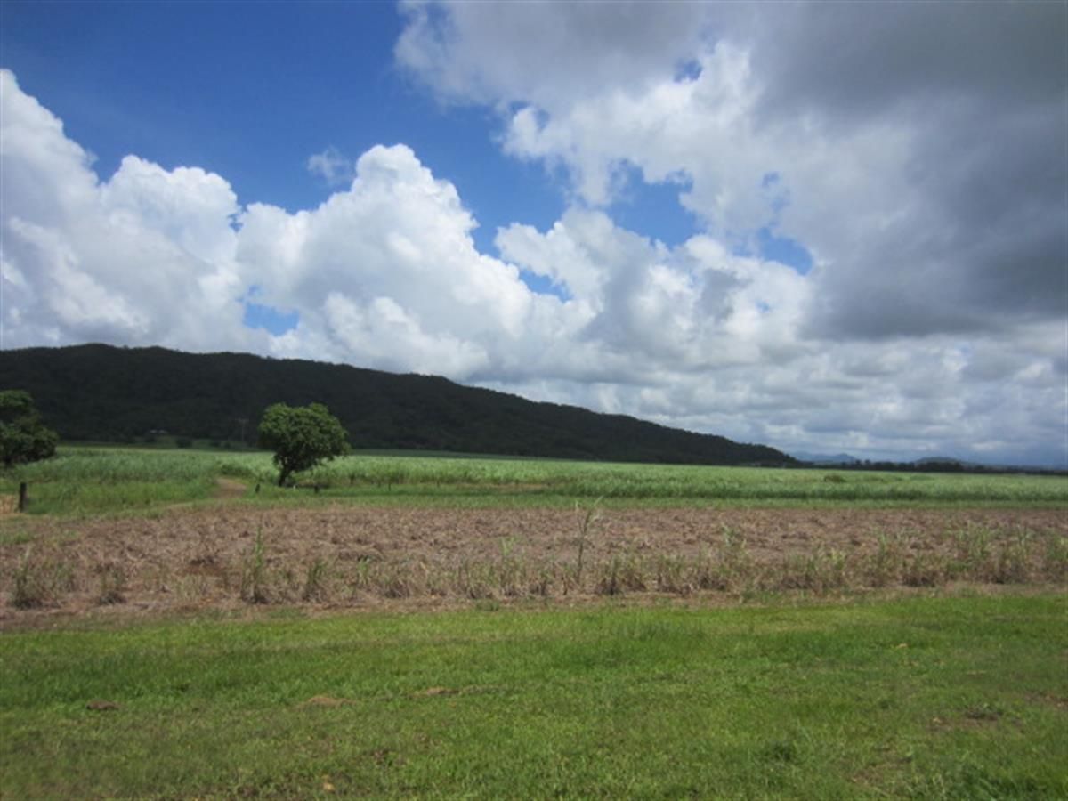 South Johnstone QLD 4859 Specialist Farm for Sale 1,500,000