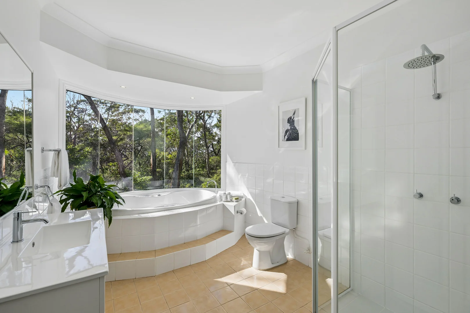 Additional image 5 of 66-68 Railway Parade, Wentworth Falls NSW 2782