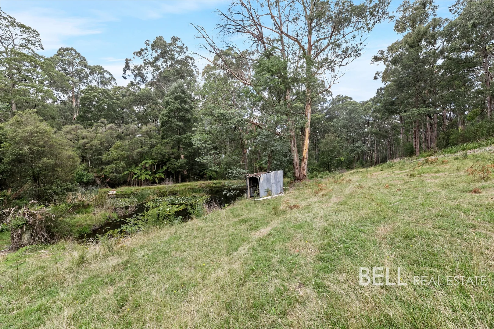 Additional image 16 of 60 Boyd Road, Gembrook VIC 3783