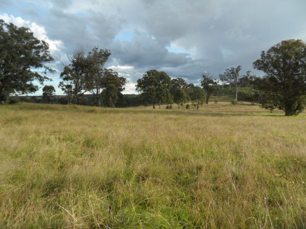 Lot 1 Cameron Road, Dalveen QLD 4374, Image 0