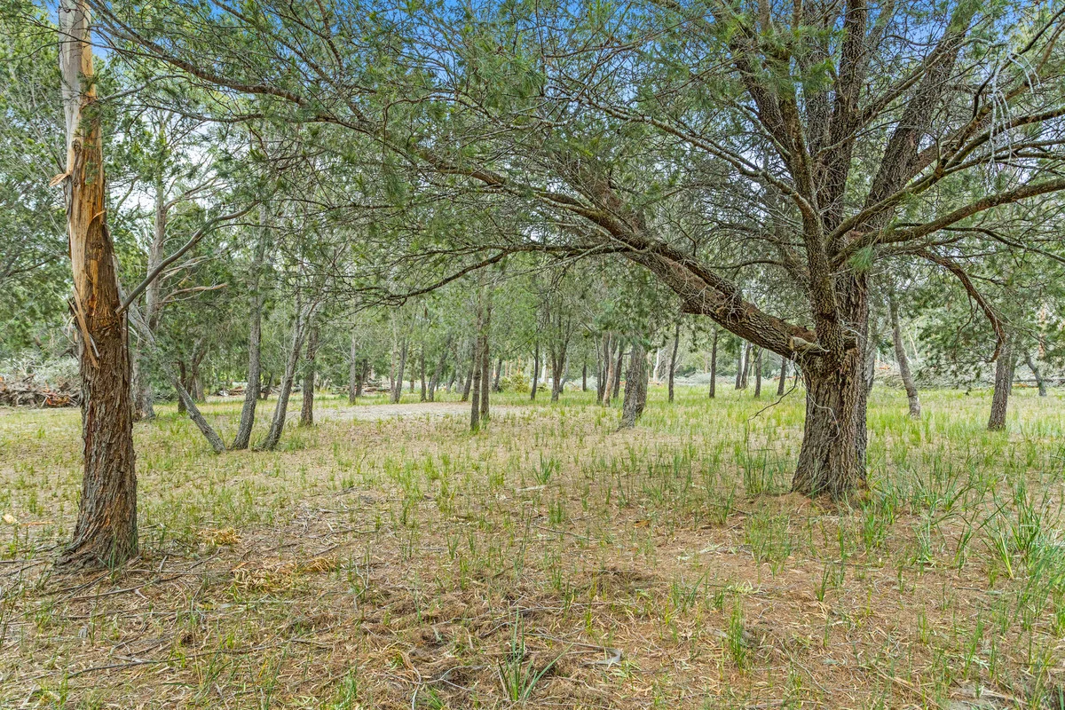 Image 13