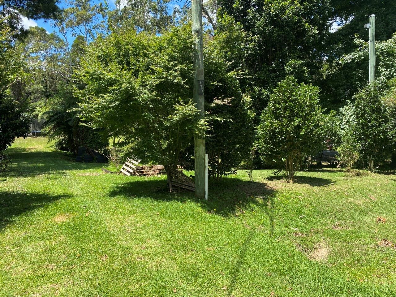 2281 Springbrook Road, Springbrook QLD 4213, Image 1