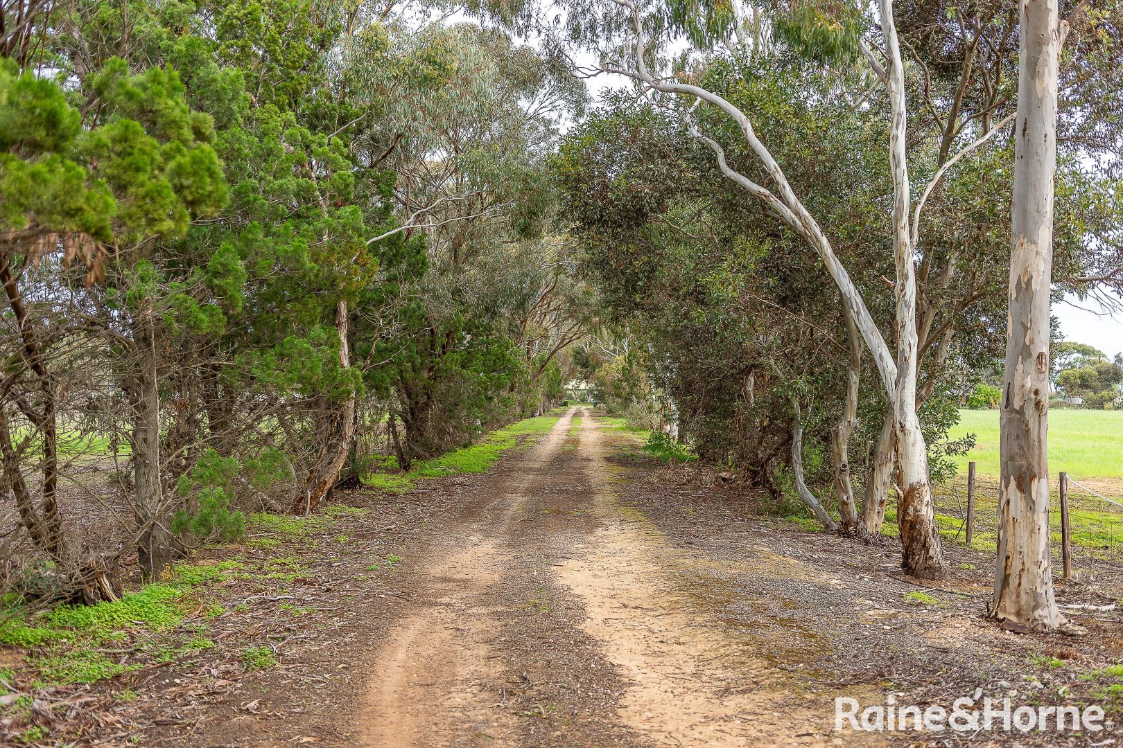 673 Langhorne Creek Road, Strathalbyn SA 5255, Image 1