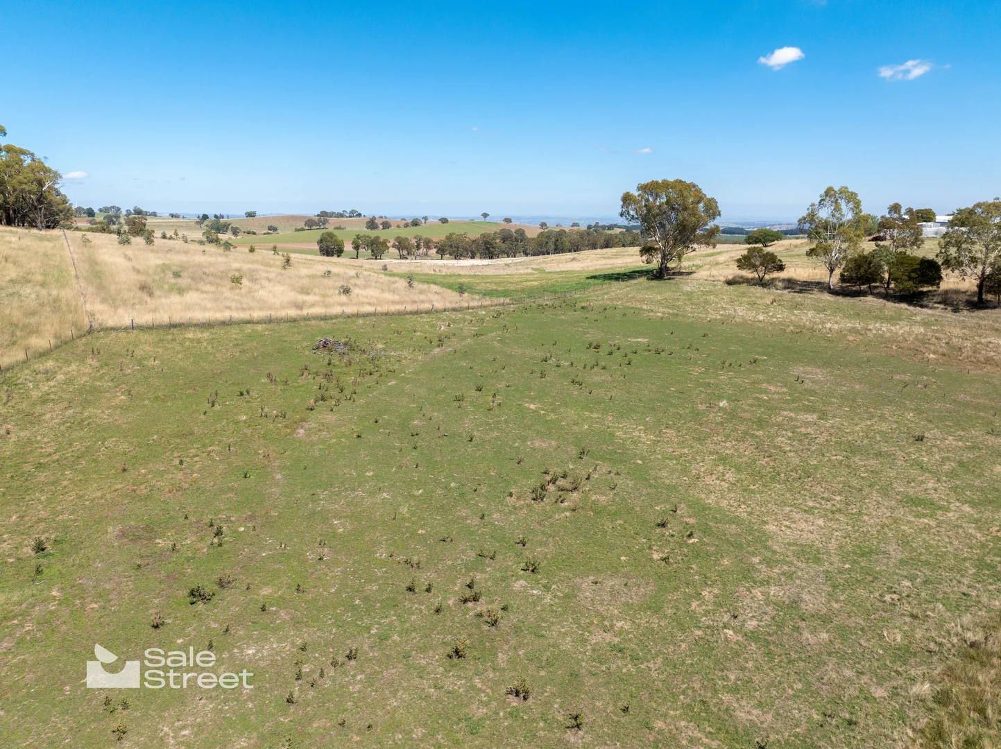 Additional image 42 of 167 Carbine Road, Forest Reefs NSW 2798