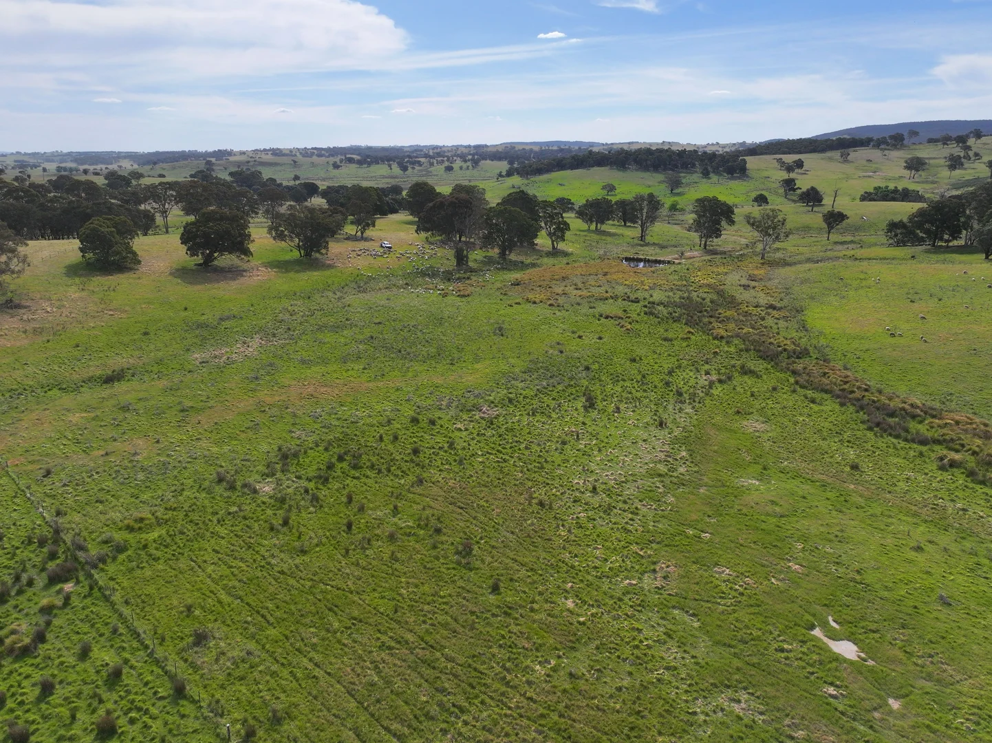 Additional image 8 of 680 Kangaloolah Road, Binda NSW 2583