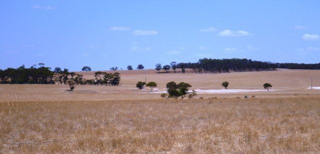 Tarin Rock Road, Tarin Rock, Lake Grace WA 6353, Image 1