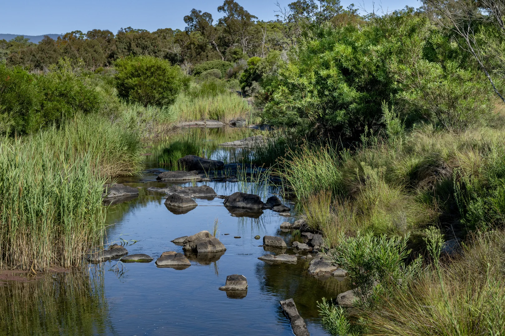Image 21