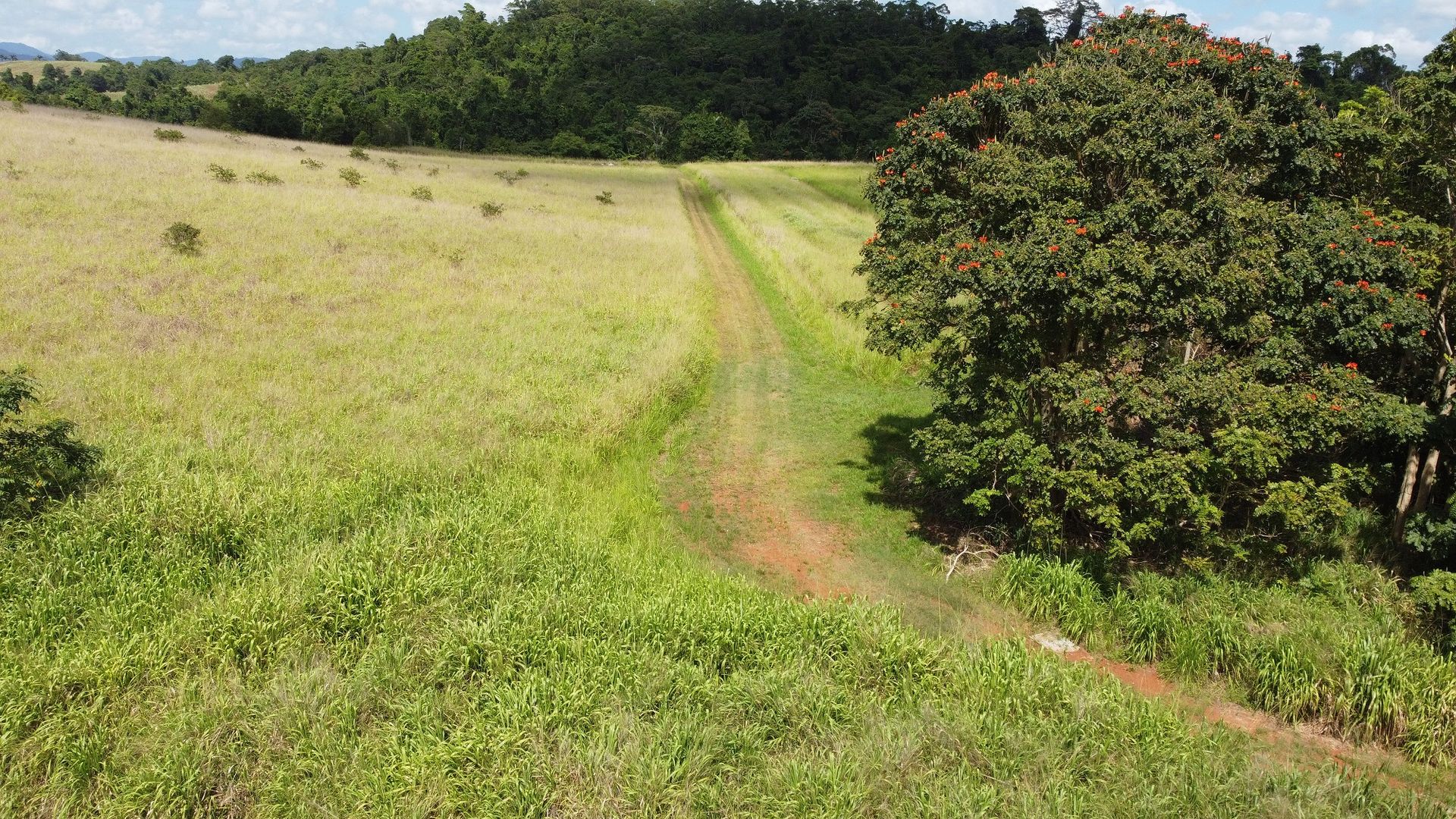 Camp Creek QLD 4871, Image 1