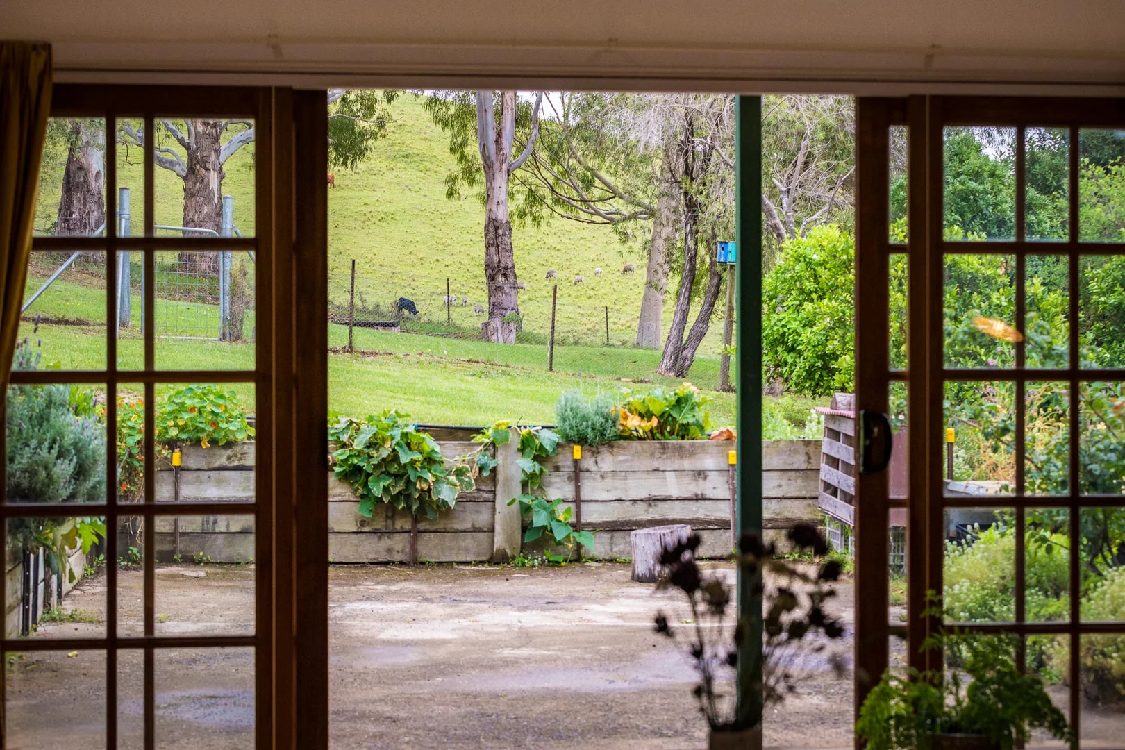 Additional image 4 of 286 Bald Hills Road, Bald Hills NSW 2549