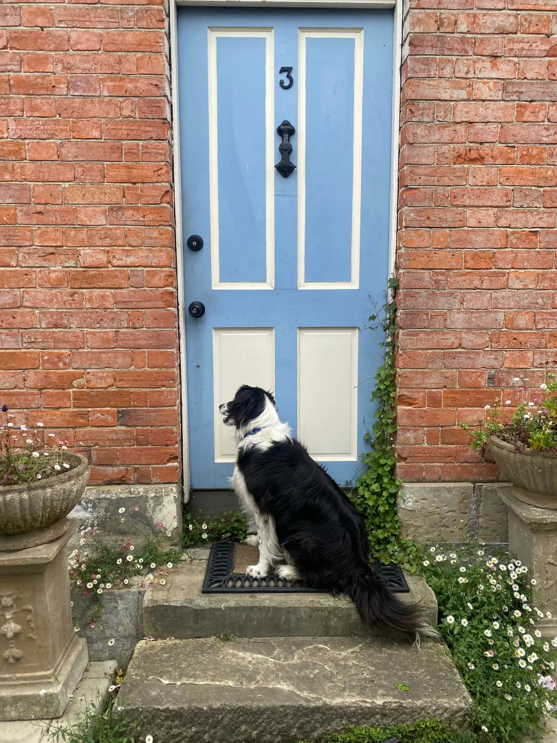Image 26