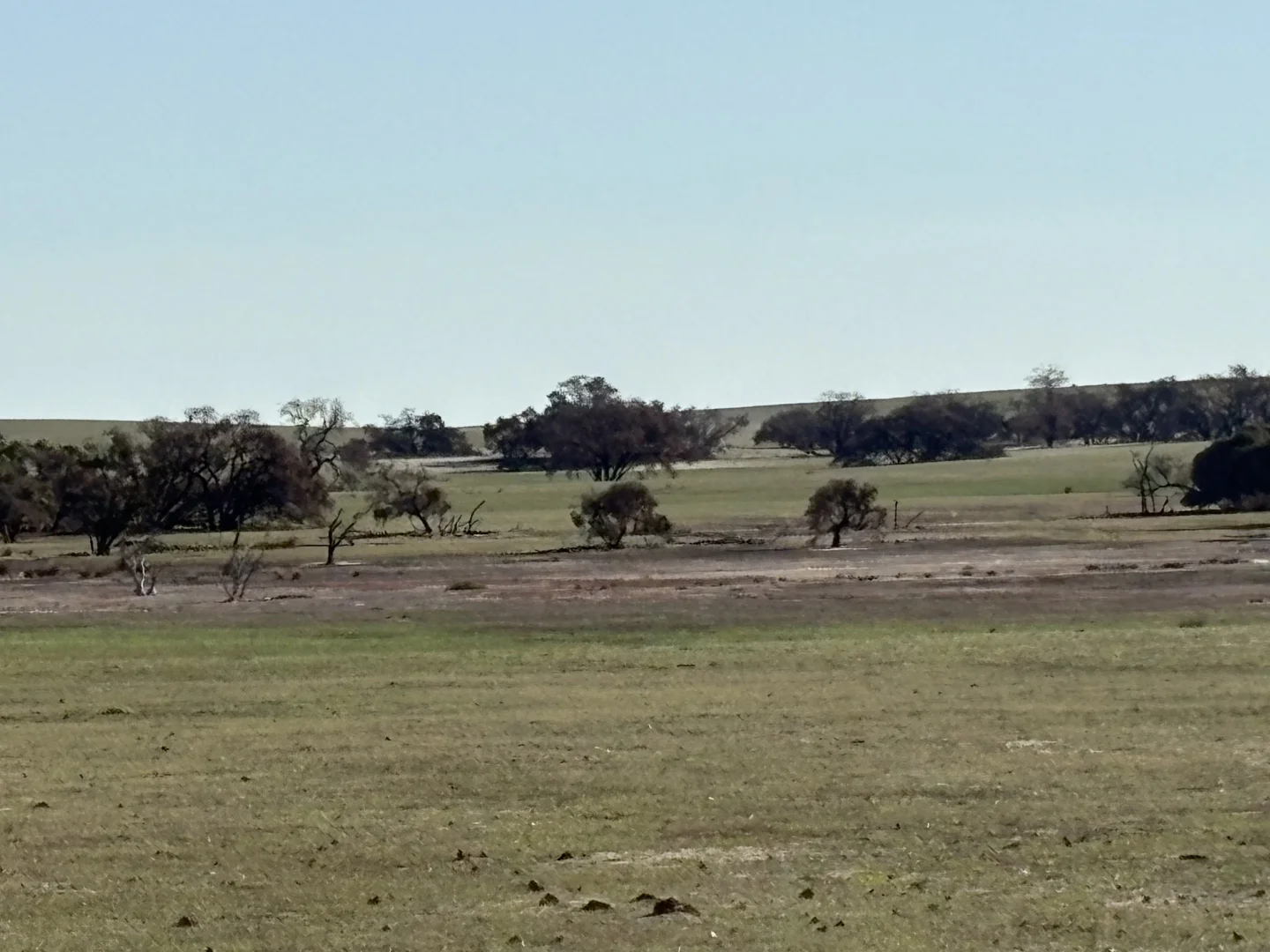 Image 15