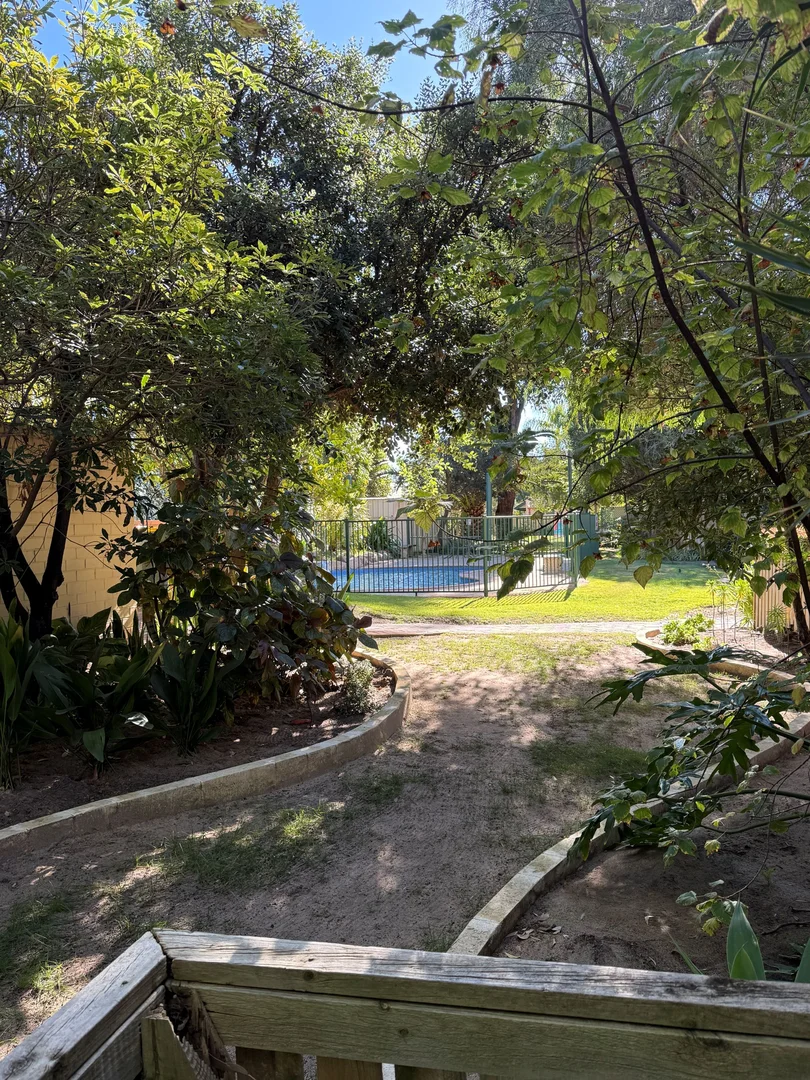 Image 14