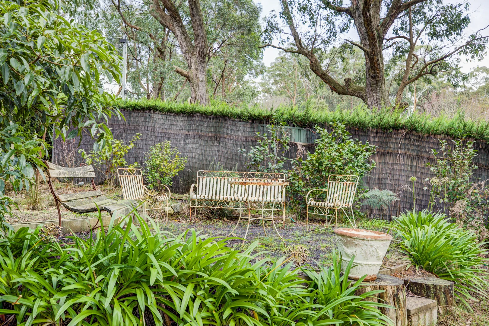 Image 31
