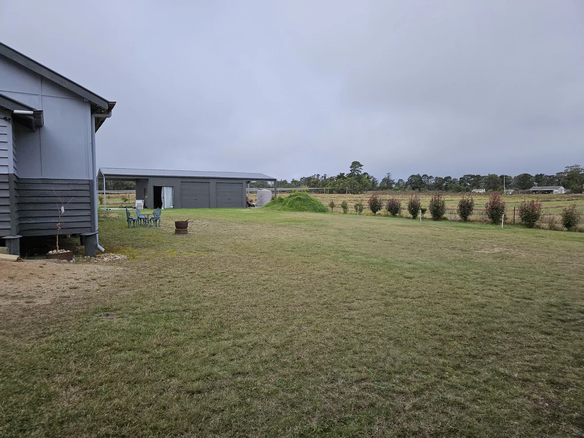 Image 12