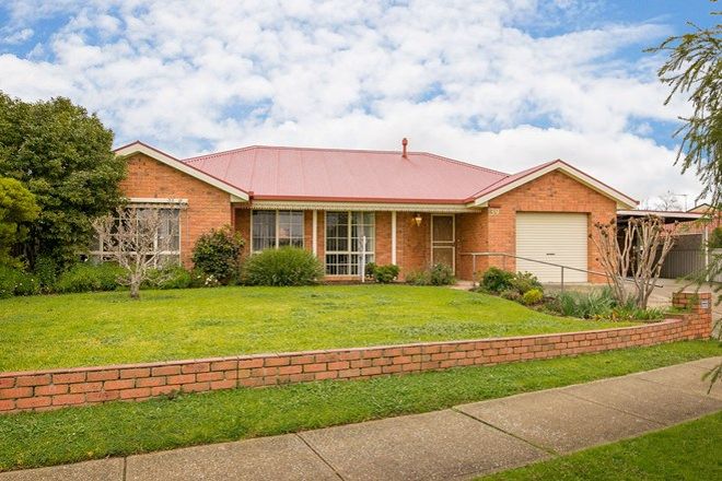 317 Houses For Sale In Wodonga Vic 3690 Domain