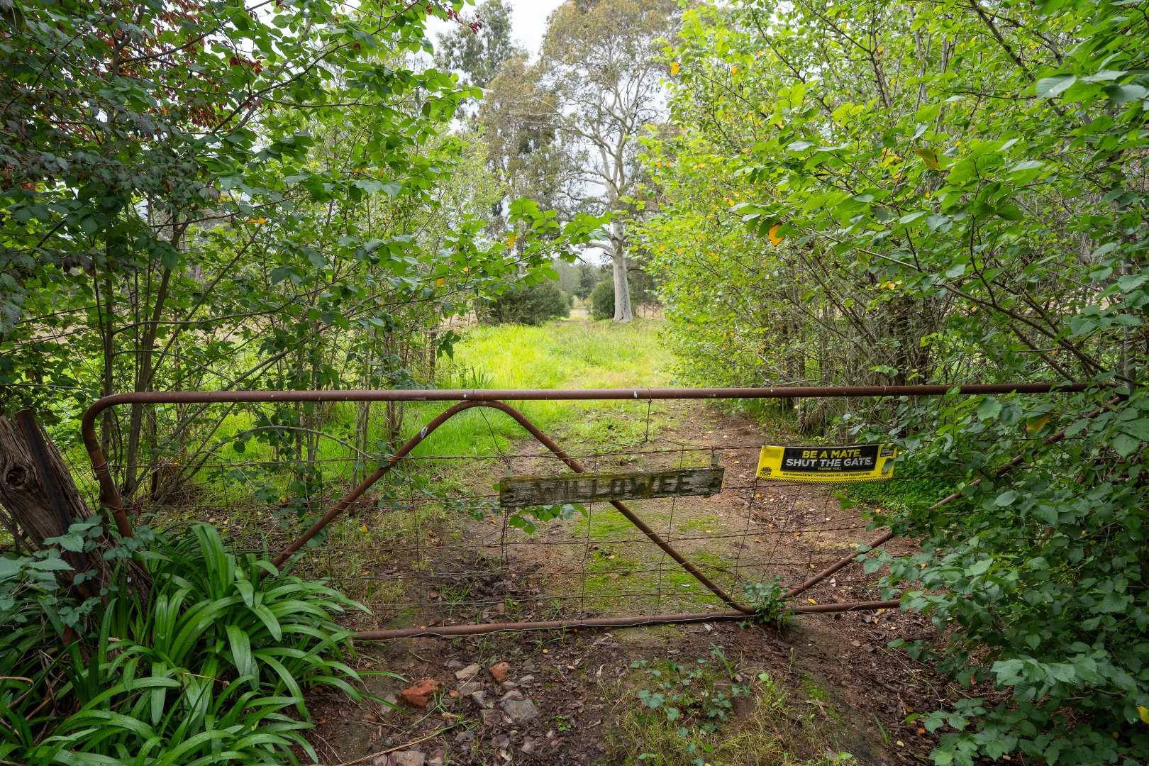 Image 9