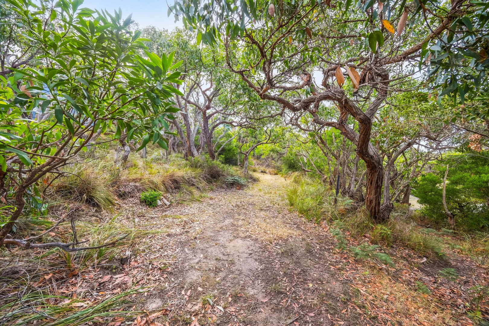 Additional image 5 of 59A Lialeeta Road, Fairhaven VIC 3231