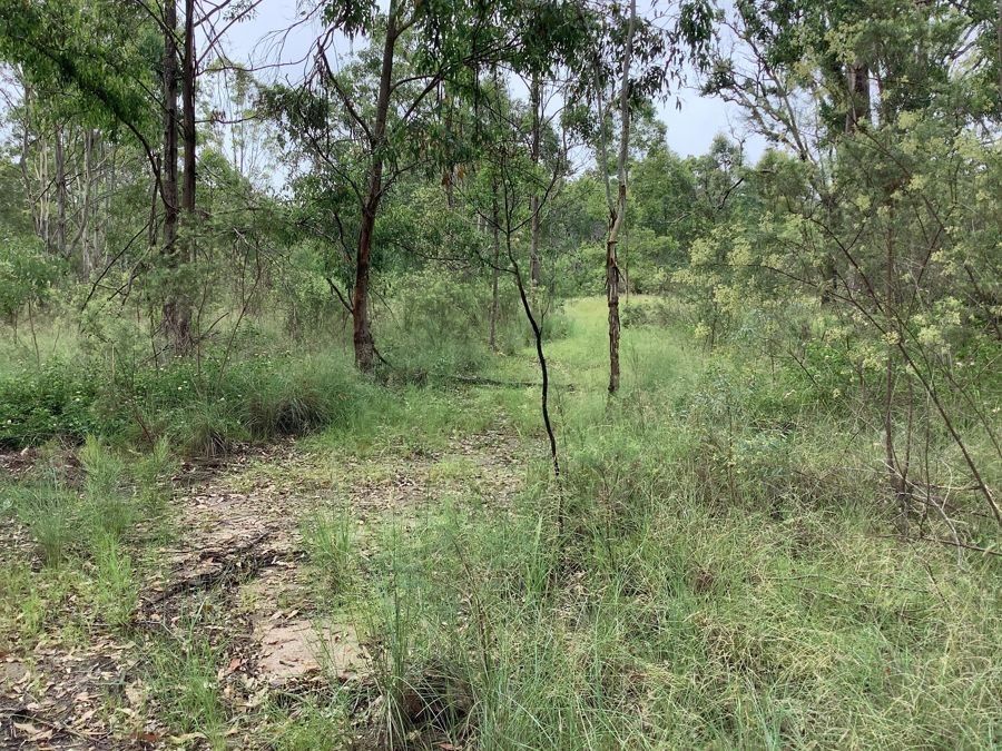 Lot 4 Pierces Creek Road, Mountain Camp QLD 4355, Image 2