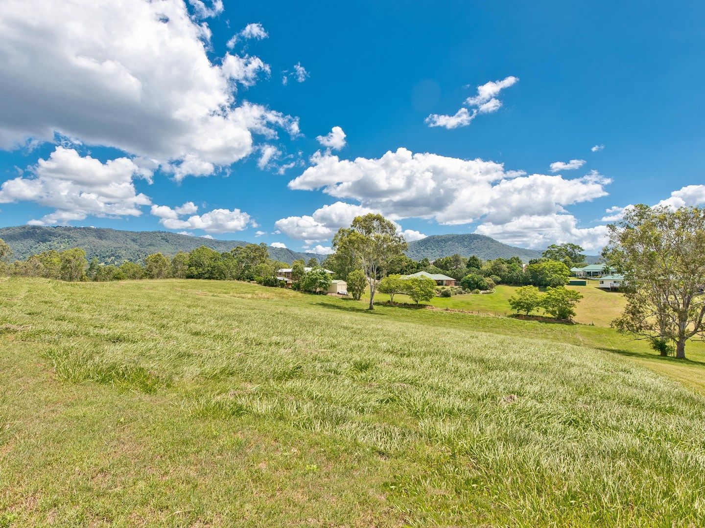 8 Angshelle Court, Samford Valley QLD 4520
