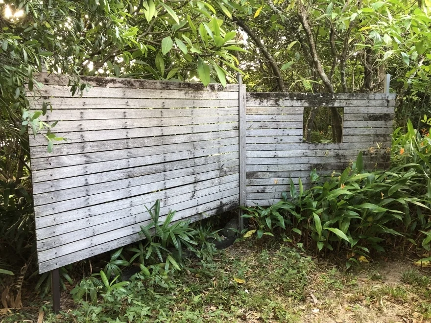 Image 20