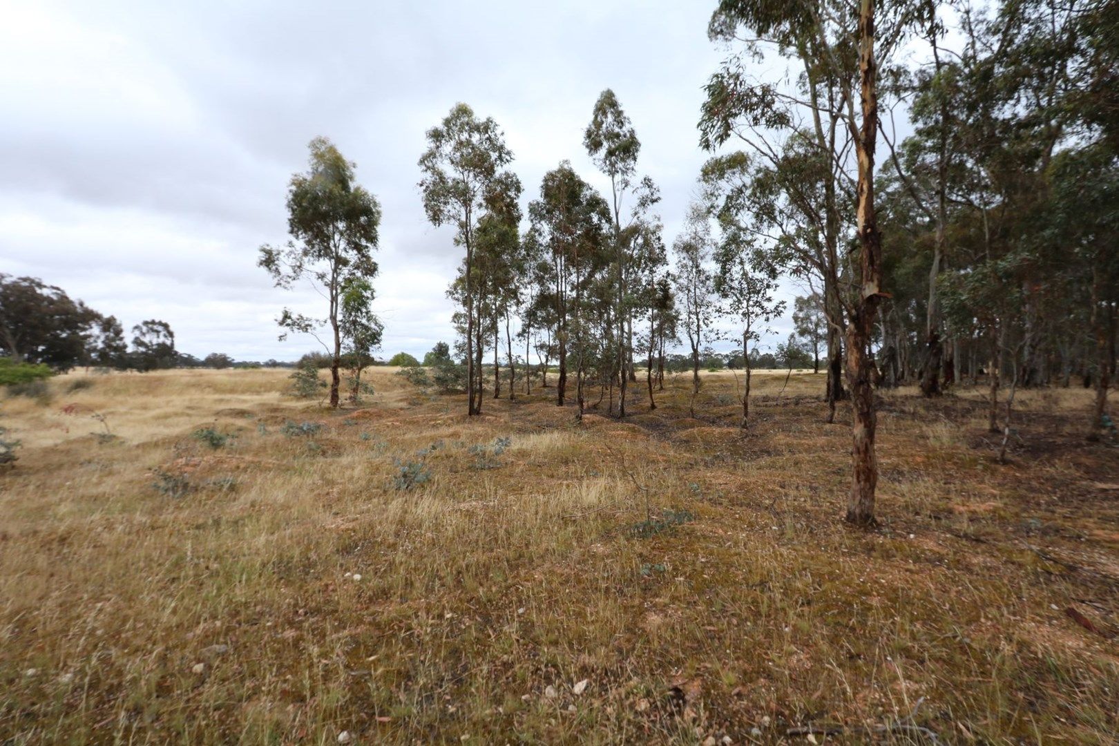 CA15 Andersons Road, Bowenvale VIC 3465, Image 0