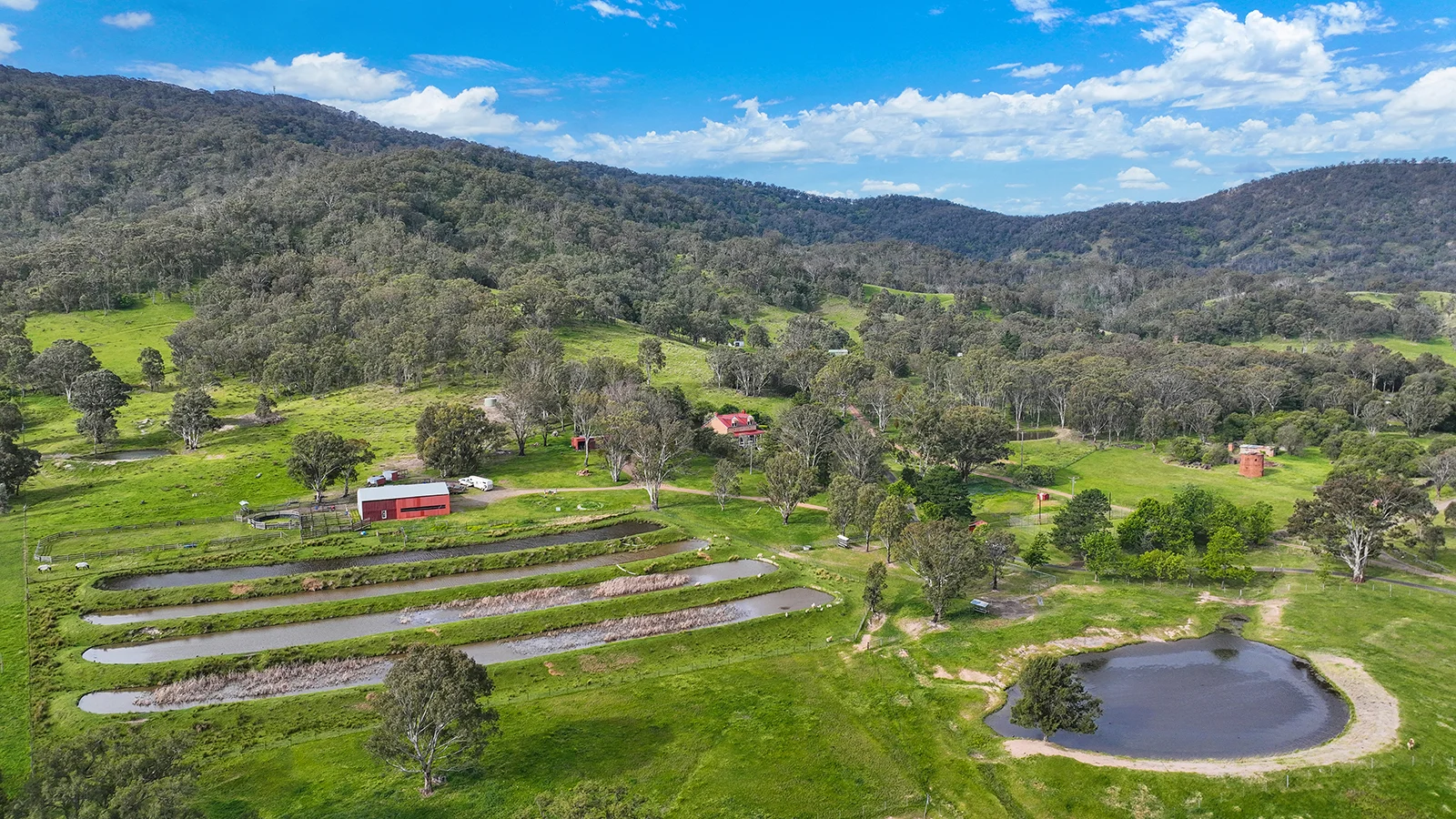 Additional image 24 of 80 Doughboy Street, Murrurundi NSW 2338