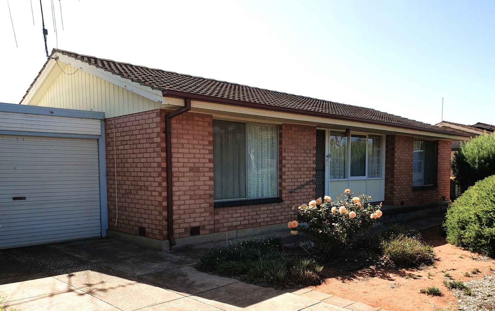 20 Menard Street, Whyalla Stuart SA 5608 Domain