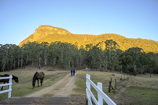 Picture of 872 Condamine River Road, THE FALLS QLD 4373