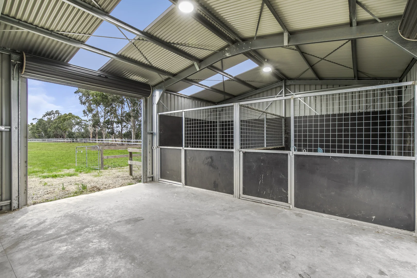 Additional image 9 of 93 Eagle Court, Teesdale VIC 3328