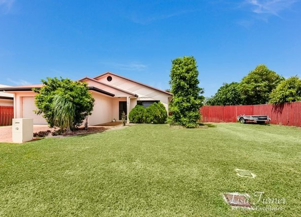 12 Werribee Court, Annandale QLD 4814