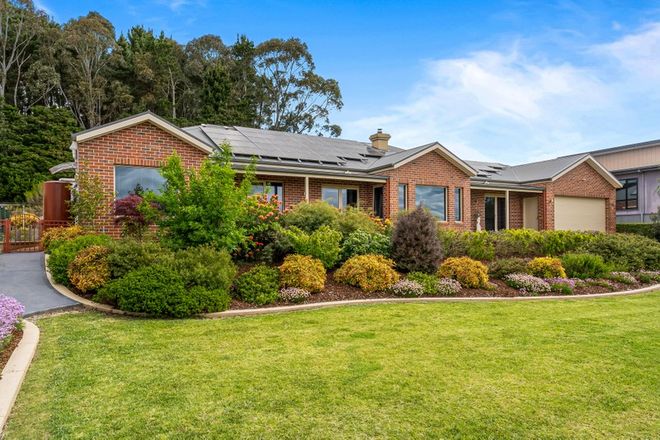 Picture of 14 Pindara Place, GISBORNE VIC 3437