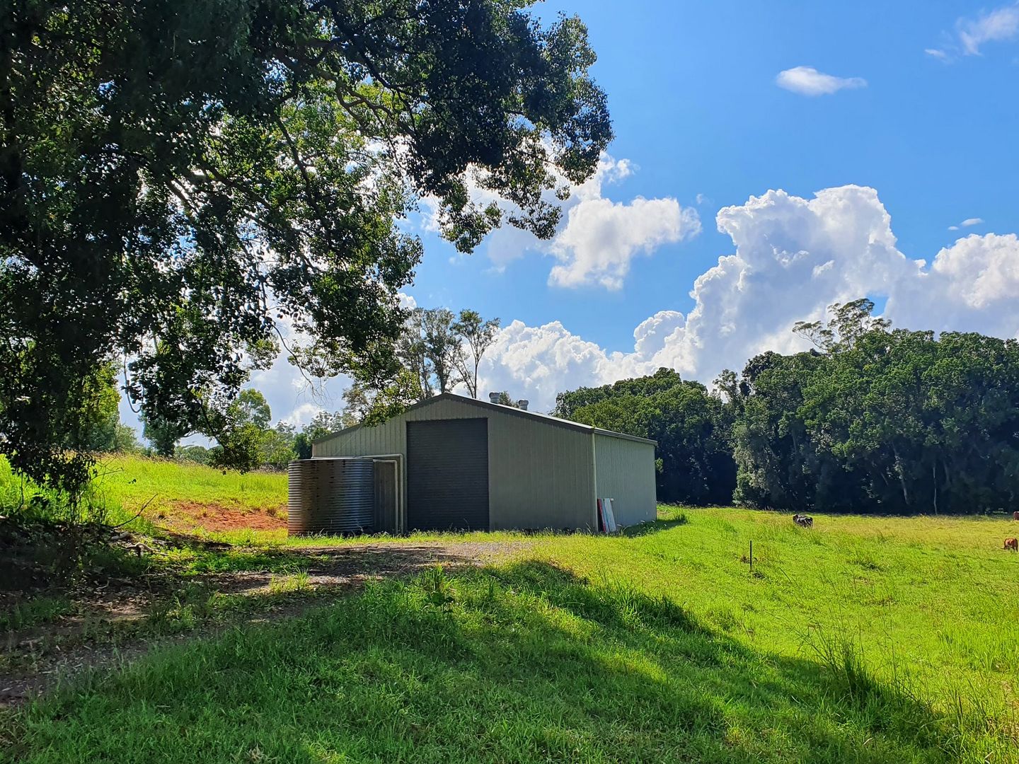 143 Old Palmwoods Road, West Woombye QLD 4559, Image 2