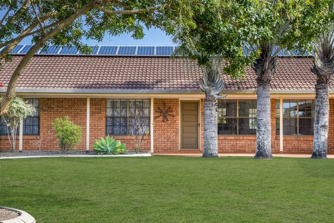 Picture of 11 Brandy Court, KIPPA-RING QLD 4021