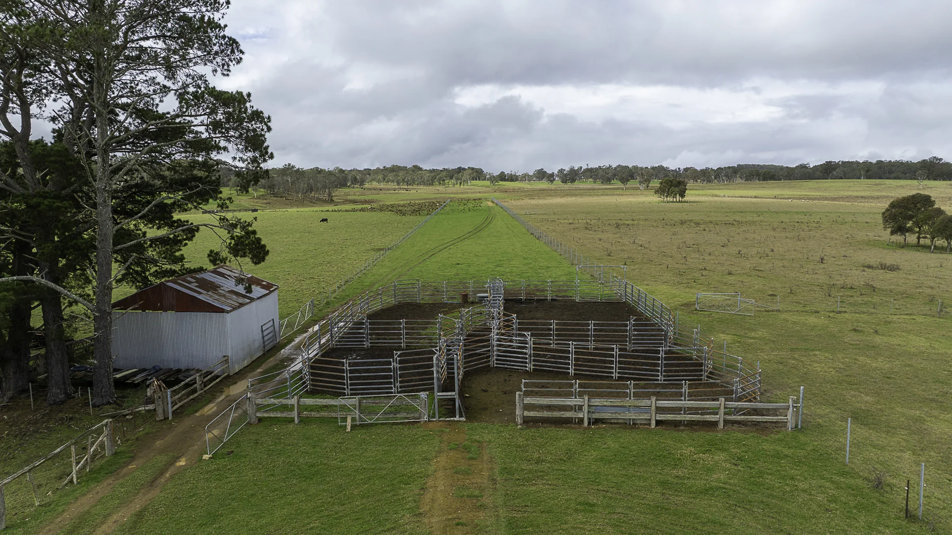 Image 15