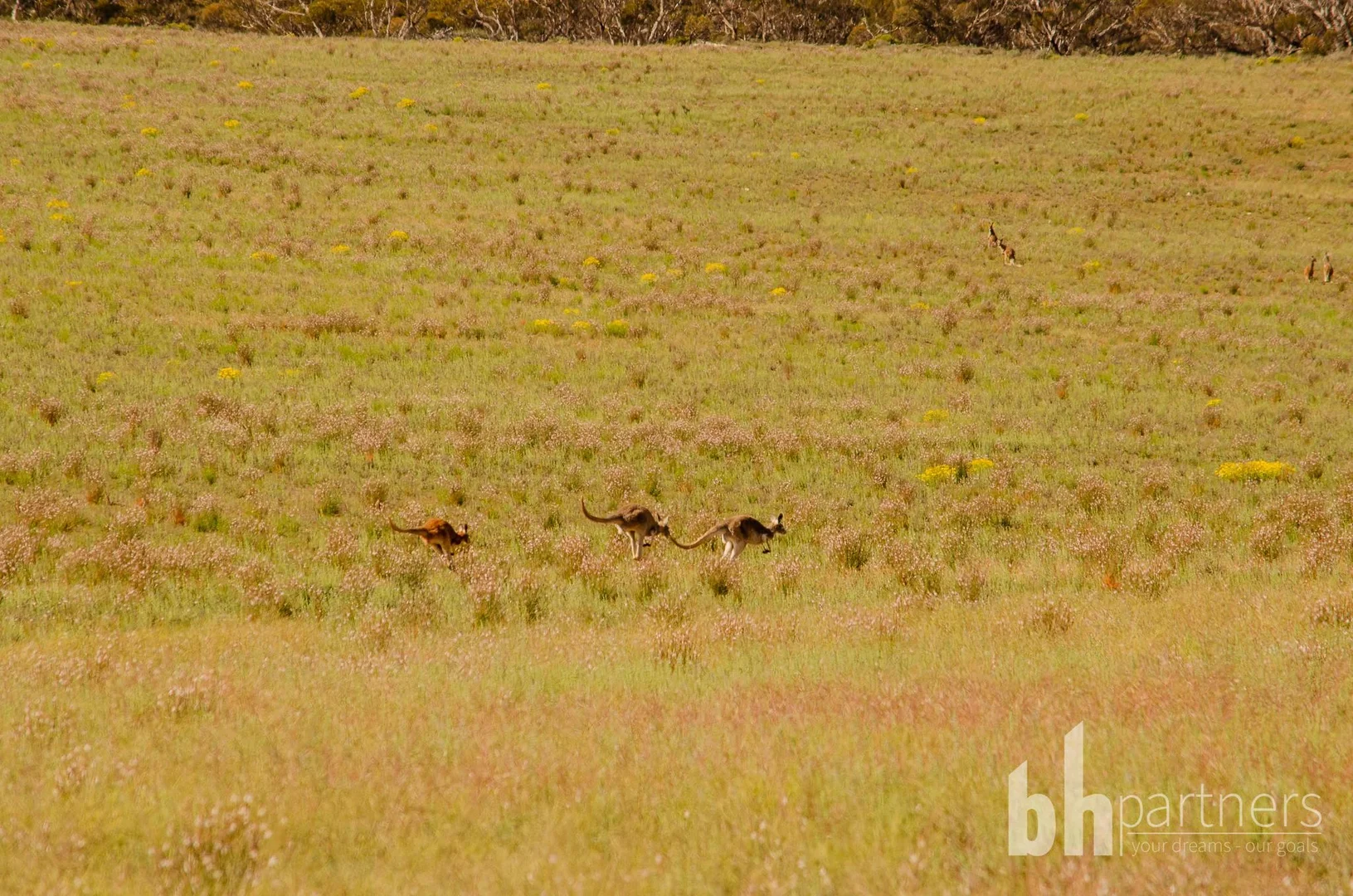 Additional image 21 of Section 369 Schwertie Road, Black Hill SA 5353