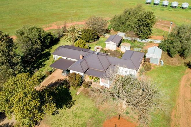 37 Rural Properties For Sale In Wagga Wagga Nsw 2650 Domain
