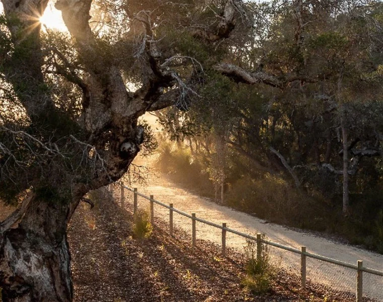 Additional image 3 of Lot 1278 Ashtree Road, Mandogalup WA 6167