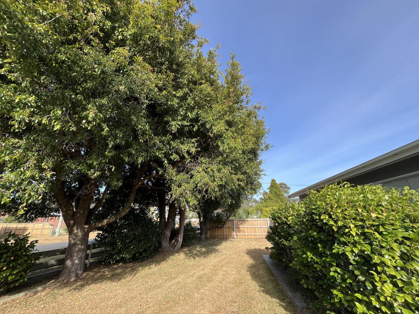 11 Rudd Avenue, Orford TAS 7190 House For Rent 460 Domain