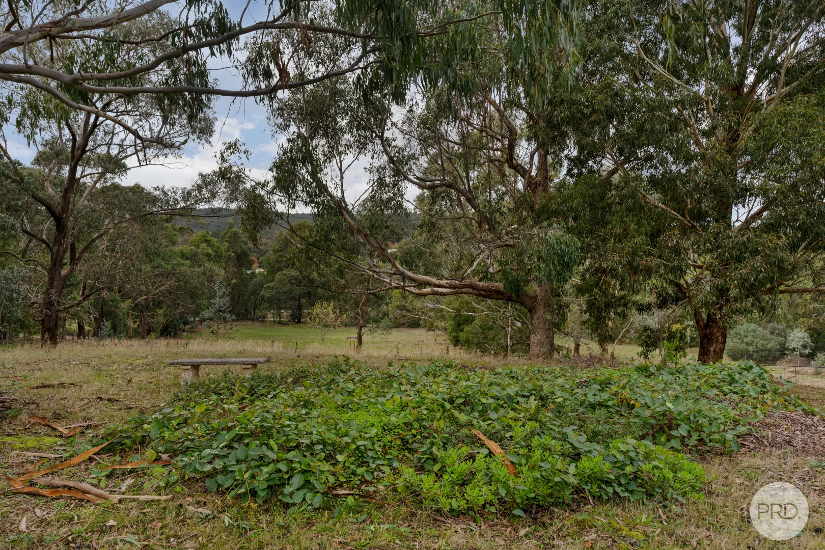 Image 17