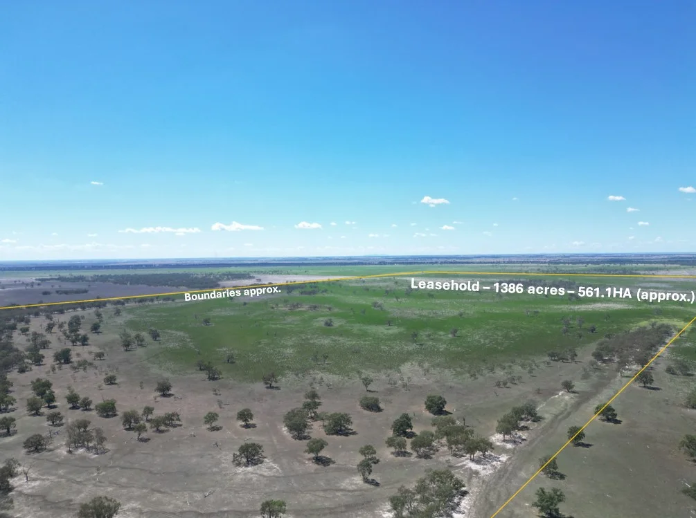 Additional image 5 of LOT 1 LP135805, 1 Cocketgedong Road, Urana NSW 2645