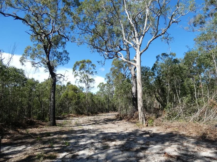 Additional image 15 of 960 Pacific Drive, Deepwater QLD 4674