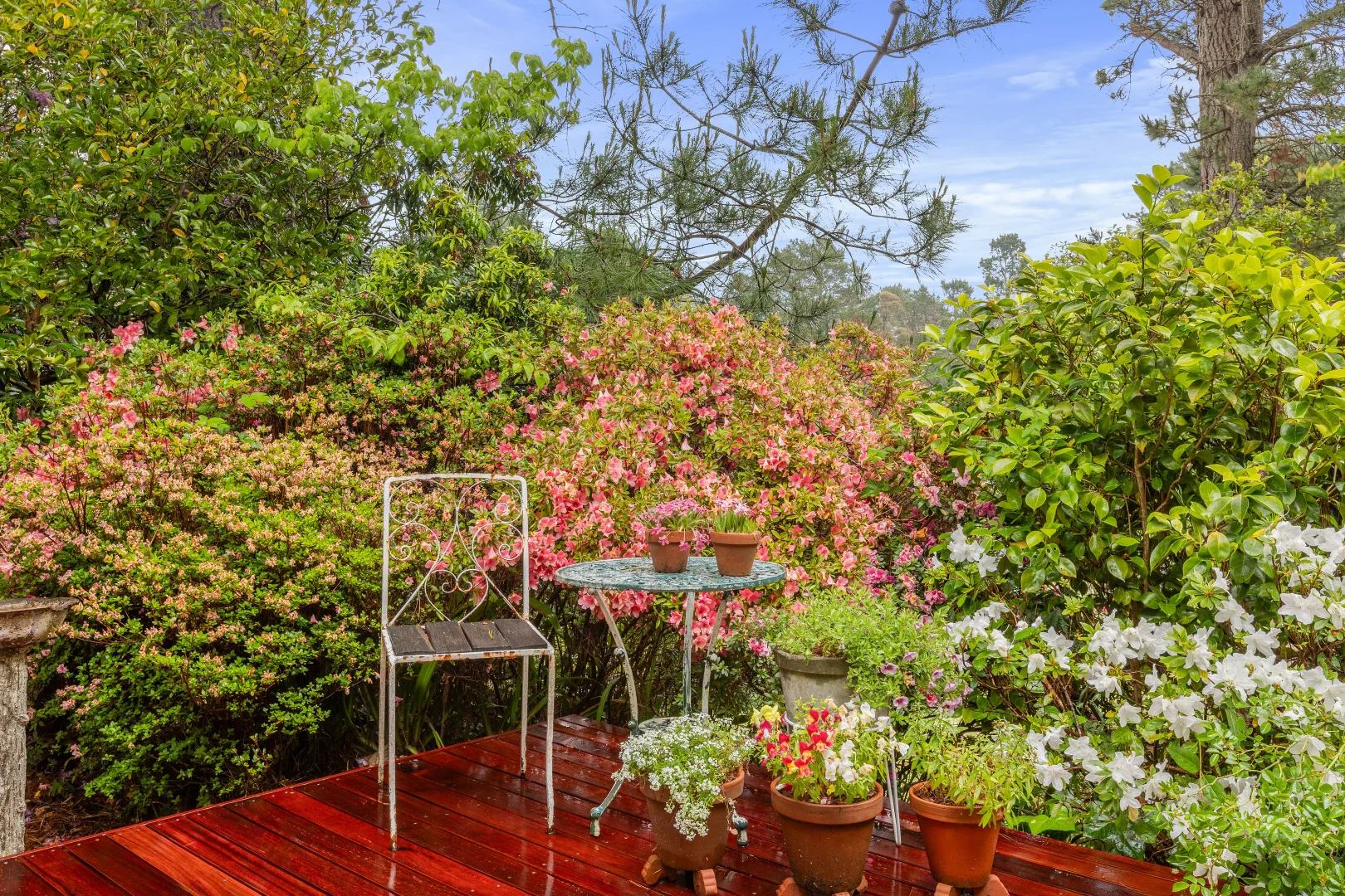 Additional image 12 of 150 Station Street, Blackheath NSW 2785